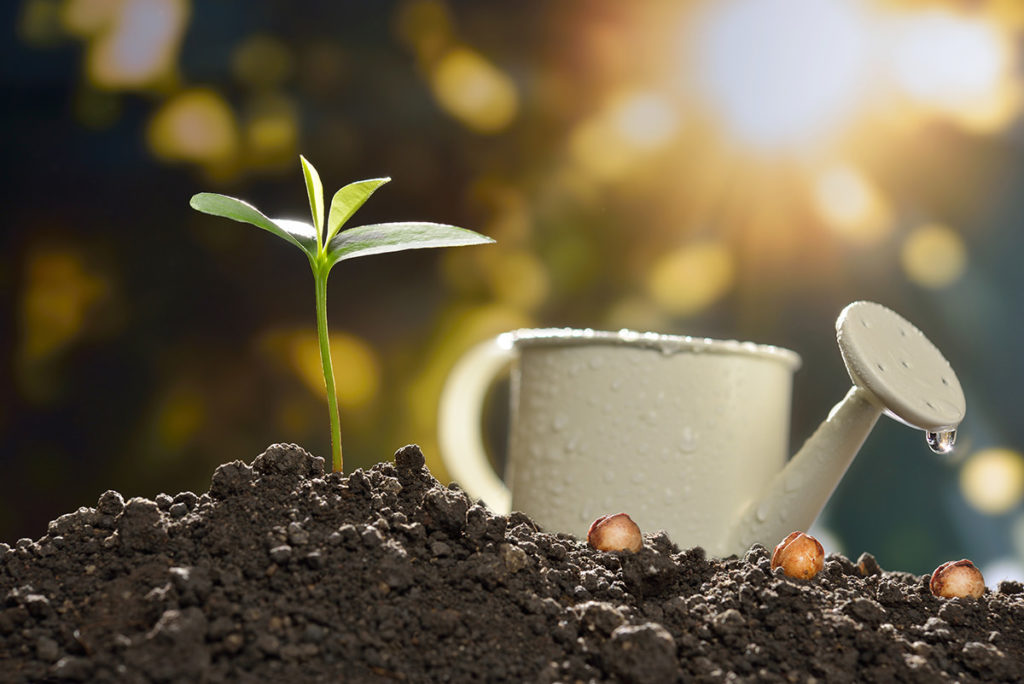 En lo que piensas te conviertes, lo que sientes lo atraes. Coaching. MasQueMarketing
